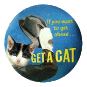 If you want to get ahead... Get A Cat!