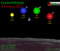 Flasteroids 2001 - Asteroids and Lunar Lander for the Holidays