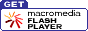 Get Flash!  small, easy, safe, popular, and FREE!