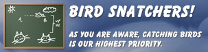 Bird Snatchers! As you are aware, catching birds is our highest priority